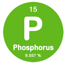 Phosphorus Content