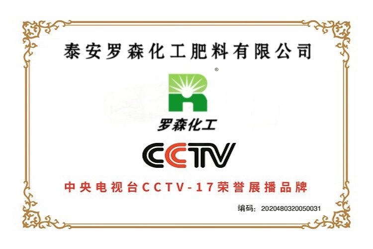 CCTV Honor Broadcast Brand
