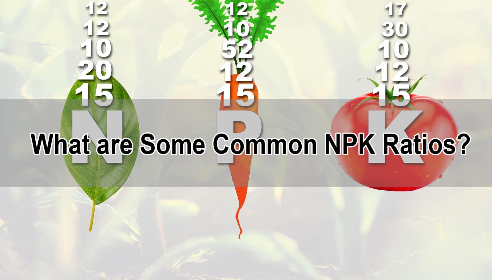 What are some common NPK ratios