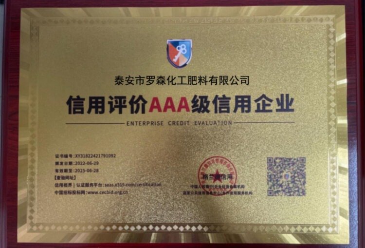 AAA Credit Enterprise