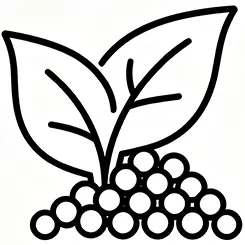 Nutrient Efficiency icon