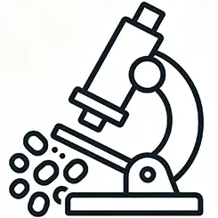 Research Icon