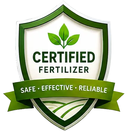 Safety Certification