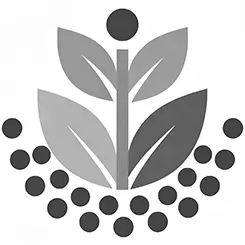 Sustainable Solutions icon