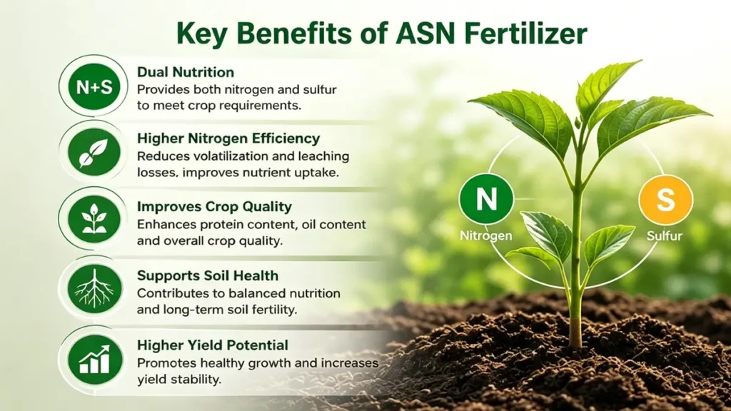 benefits-of-asn-fertilizer-nitrogen-sulfur