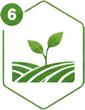 Field Evaluation icon