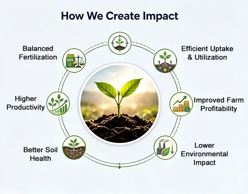 How-We-Create-Impact.webp