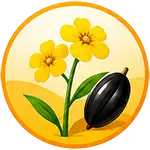 Oilseed Crop icon