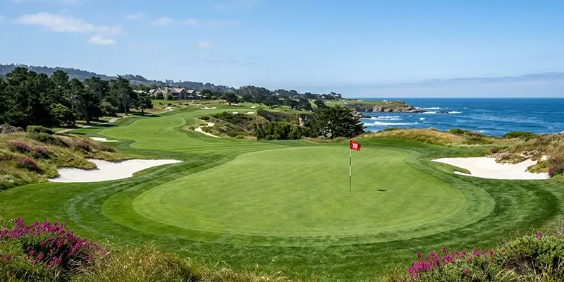 Professional_high-resolution_wide_shot_of
