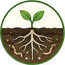 Soil-Health-icon-1.webp
