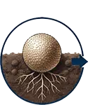 Application icon