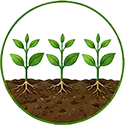 Better Crop Uniformity icon
