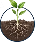 Continuous Plant Uptake icon