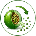 Controlled Release Technology icon