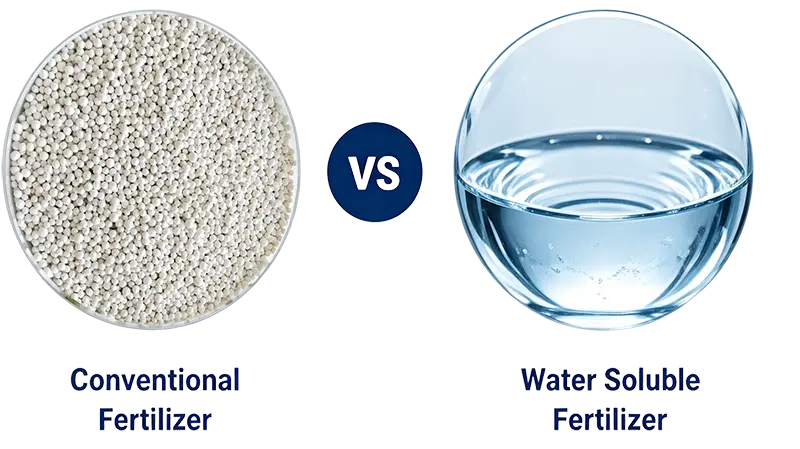 Conventional Vs Soluble Fertilizer