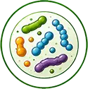 Enhance Soil Microbial Activity icon