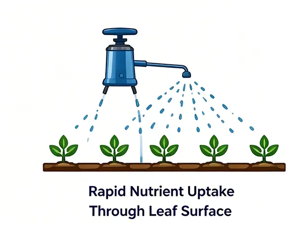 Foliar Application System