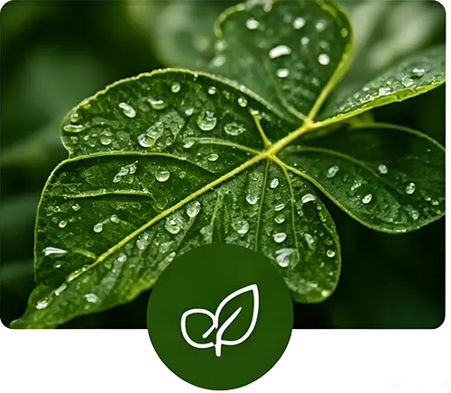Foliar Nutrition