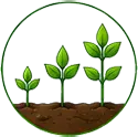 Growth Stage ICON