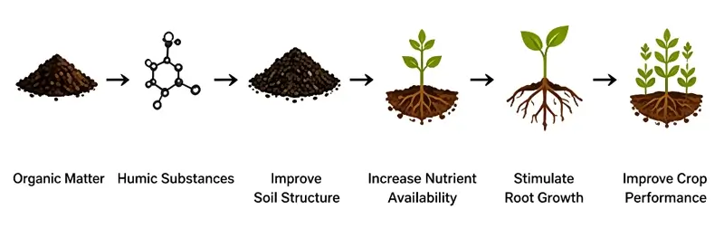 How Humic & Fulvic Acid Technology Works