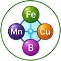 Mixed Trace Elements icon
