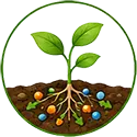 Plant Uptake icon