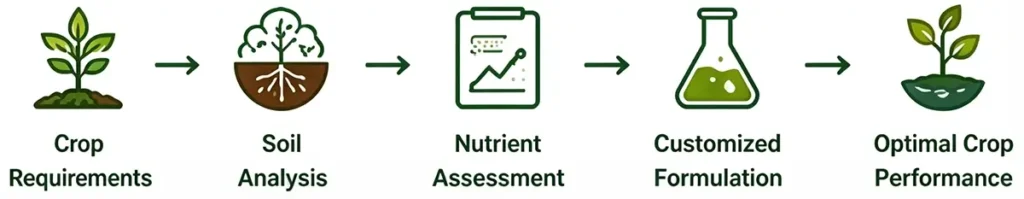 Precision Nutrition Formulation Process Diagram