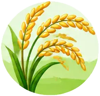 Rice Guides icon