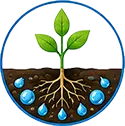 Root Zone Distribution icon