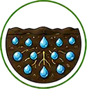Uniform Nutrient Distribution icon