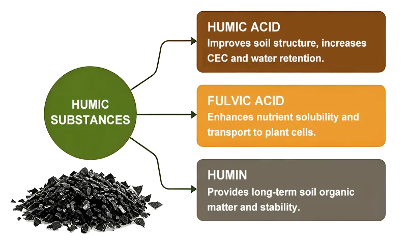 WHAT ARE HUMIC FULVIC ACIDS