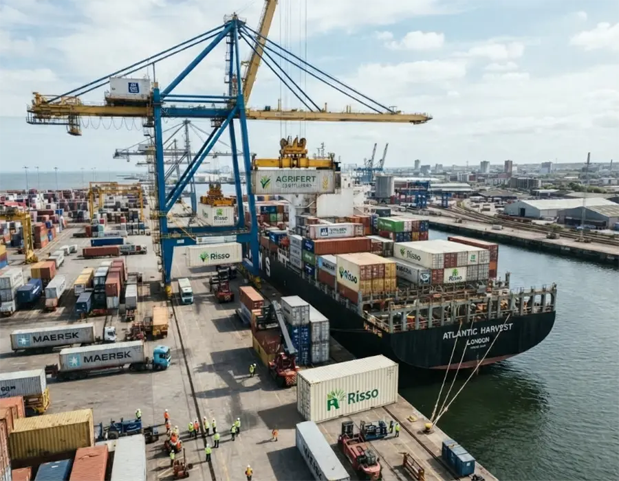 Global Export